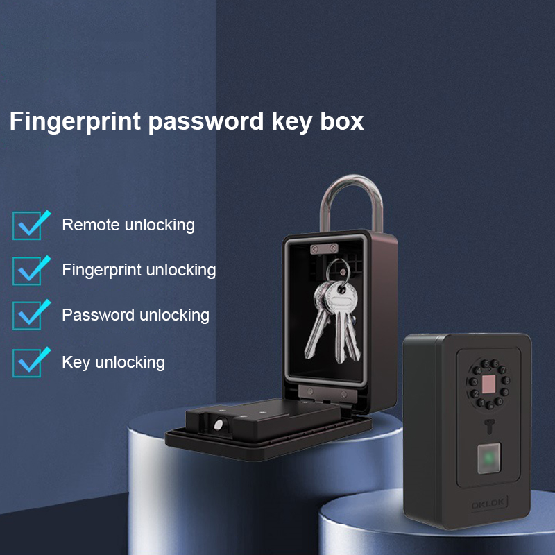 지능형 패드락 걸이형 디자인 비밀번호 저장 금고 가정용 - Lockbox Key Secure 리뷰 및 가격